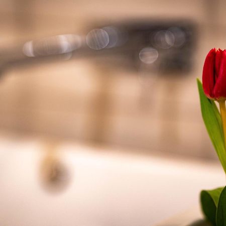 Logis Hotel Quartier 5, Saechsische Schweiz, Mit Restaurant, Cafe & Bar Курорт Гориш Екстериор снимка