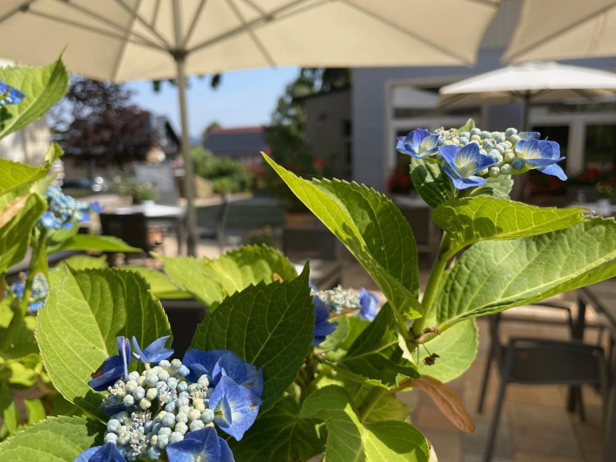 Logis Hotel Quartier 5, Saechsische Schweiz, Mit Restaurant, Cafe & Bar Курорт Гориш Екстериор снимка