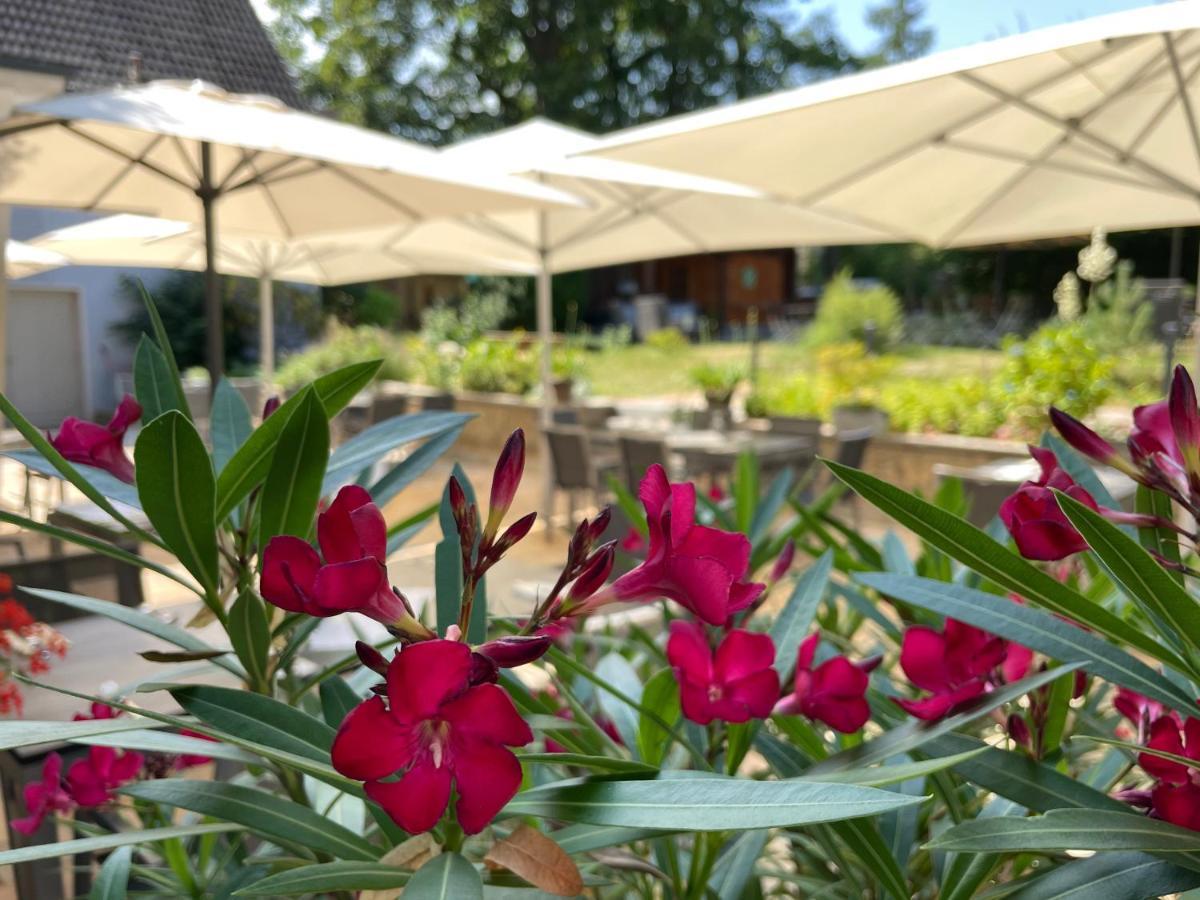 Logis Hotel Quartier 5, Saechsische Schweiz, Mit Restaurant, Cafe & Bar Курорт Гориш Екстериор снимка